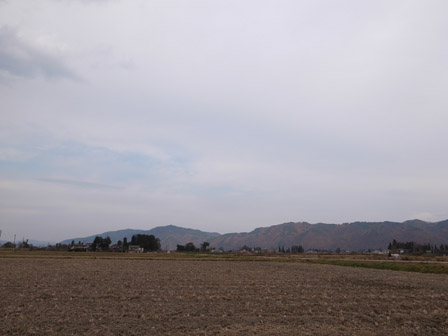 a0014840_8302341.jpg