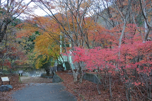 a0048040_19595241.jpg
