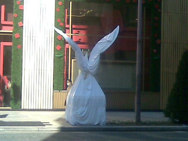c0022340_10104081.jpg