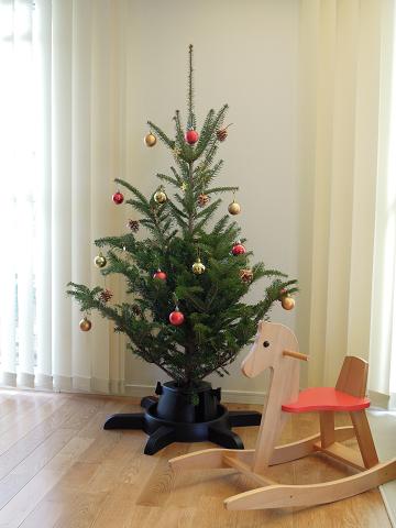 もみの木のクリスマスツリー Chicca すまいのブログ もみの木のクリスマスツリー Chicca すまいのブログ