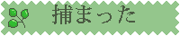 a0193457_20361498.gif