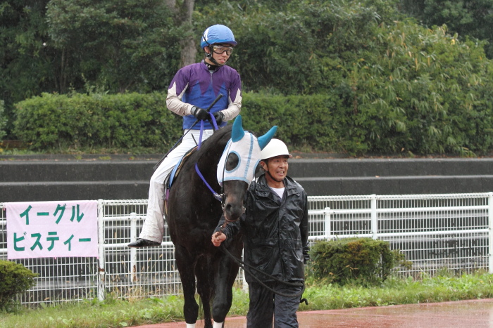 2011年11月18日（金） 高知競馬 2R 三原村どぶろく特別 A-2_a0077663_8584633.jpg