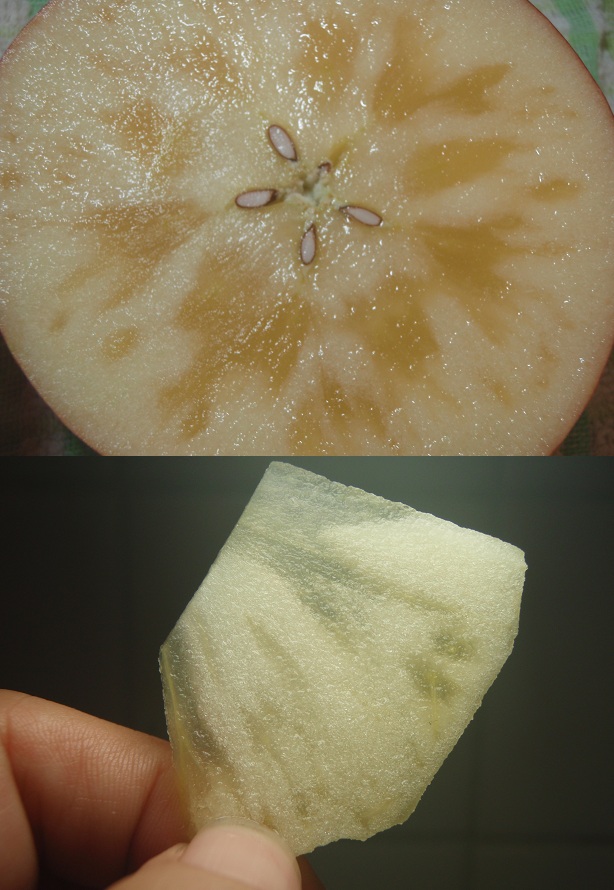 f0096569_78992.jpg