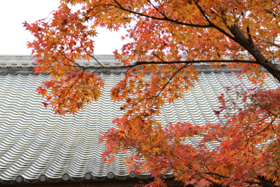 京都・北部　紅葉狩り_f0044270_12351926.jpg