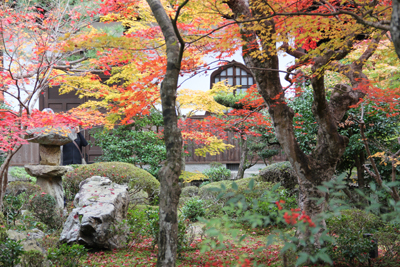 京都・北部　紅葉狩り_f0044270_12353393.jpg