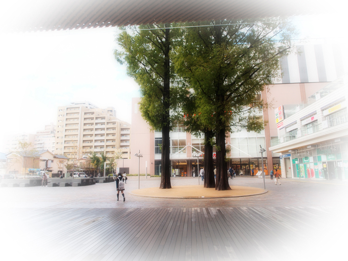 小休止の時間_a0161380_1803524.jpg