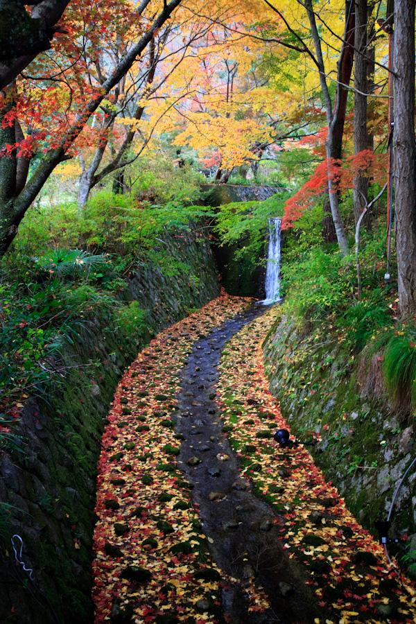 神蔵寺！_b0128581_1944343.jpg