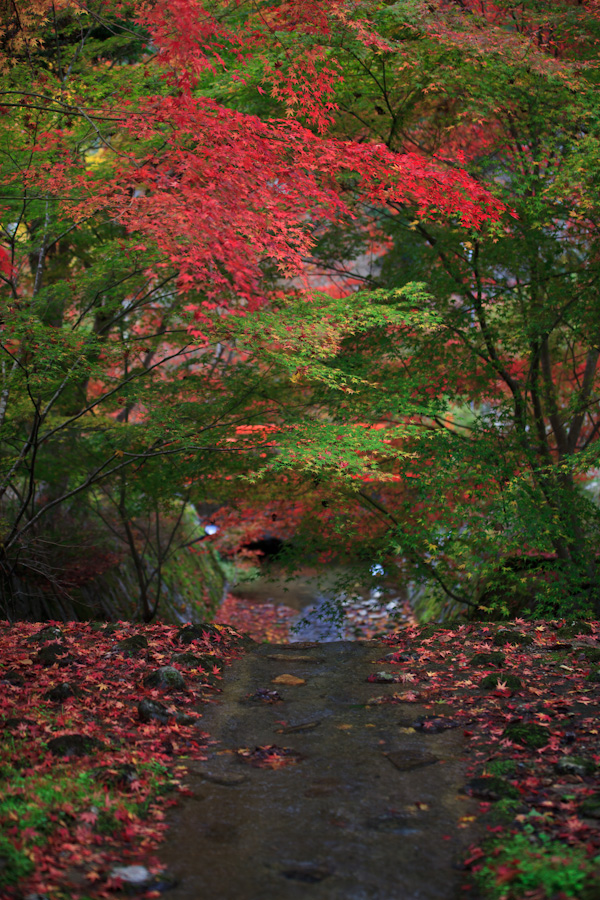 神蔵寺！_b0128581_196563.jpg