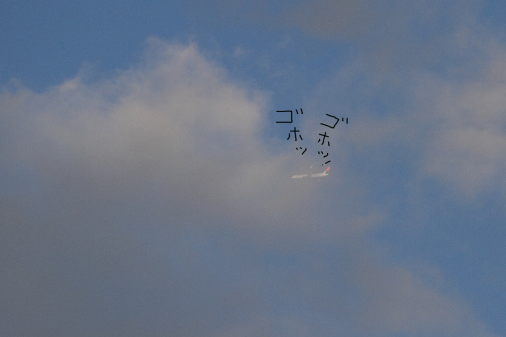 a0183690_21421041.jpg