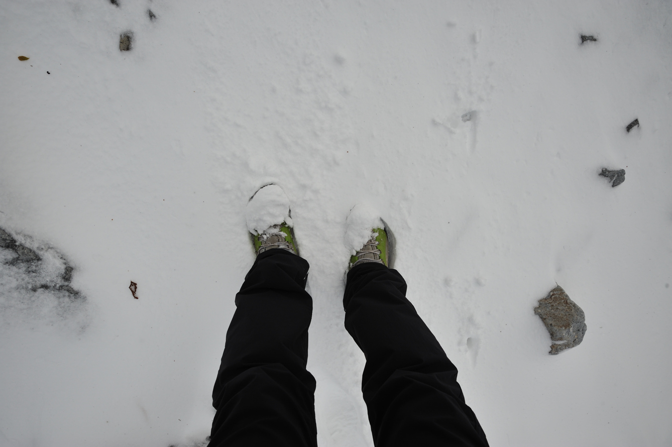 c0138991_22181191.jpg