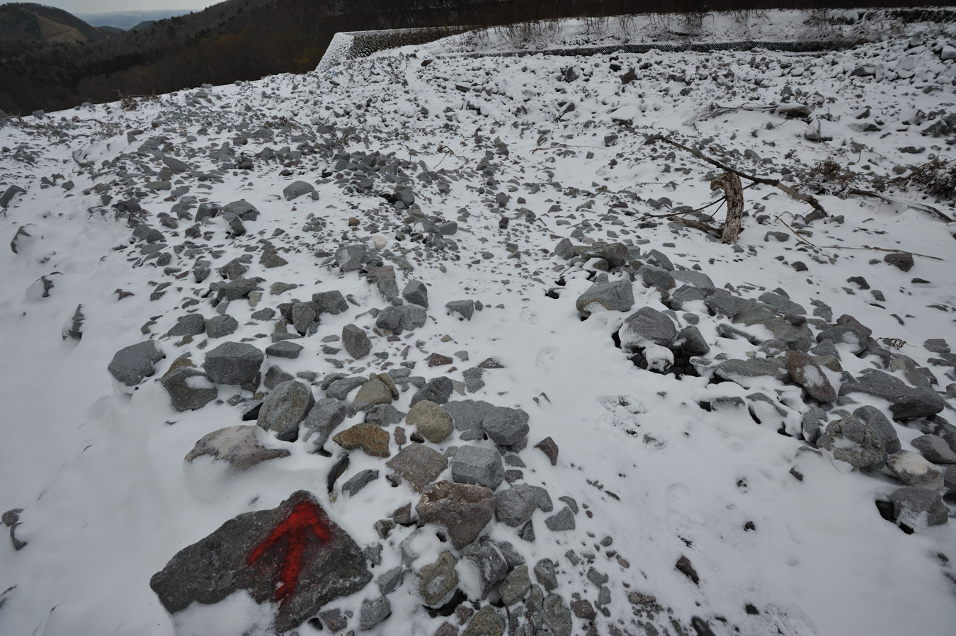 c0138991_22244257.jpg