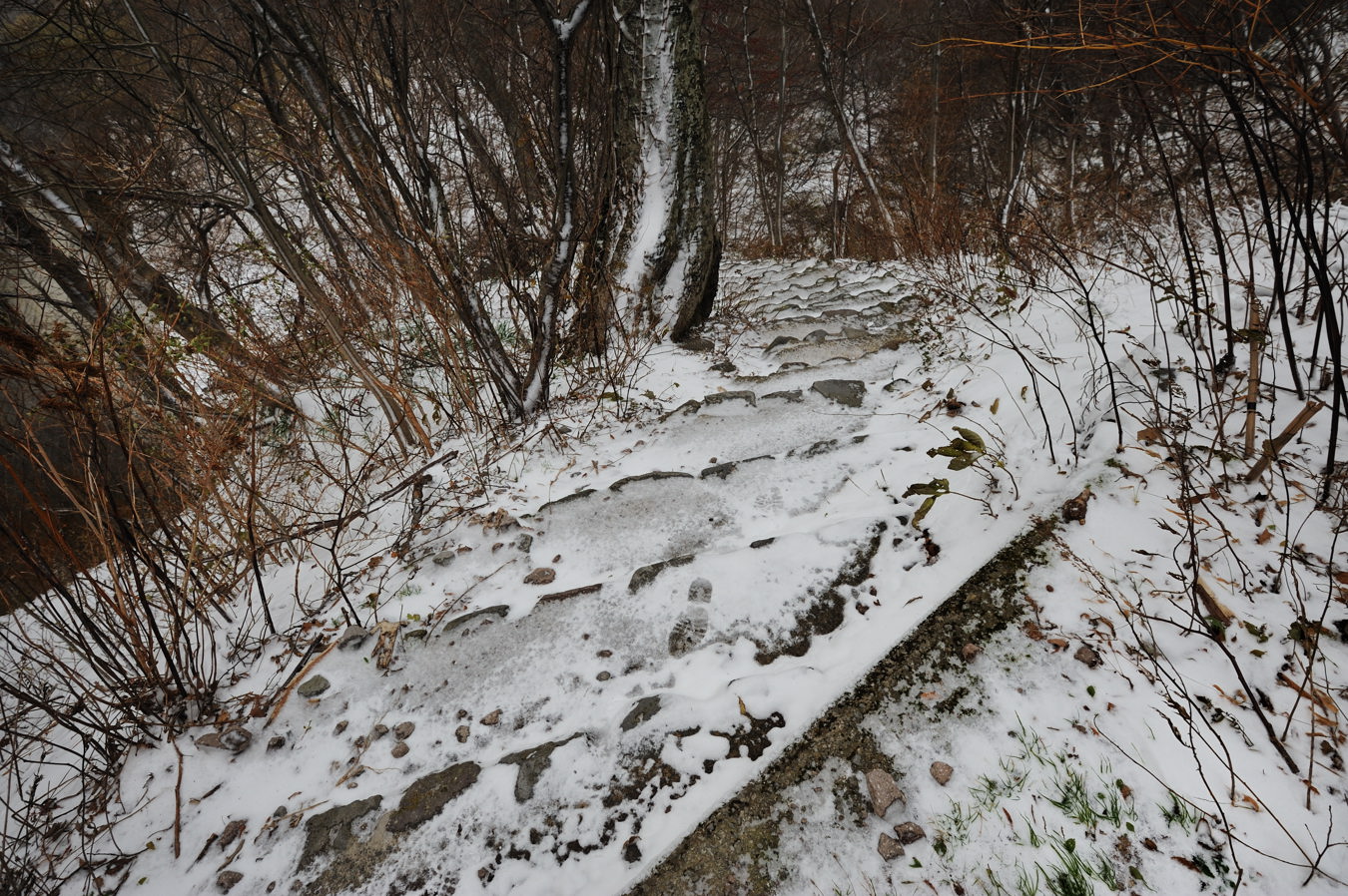 c0138991_22274878.jpg