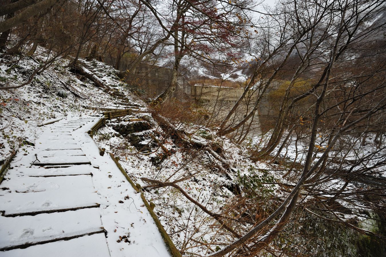 c0138991_22303565.jpg