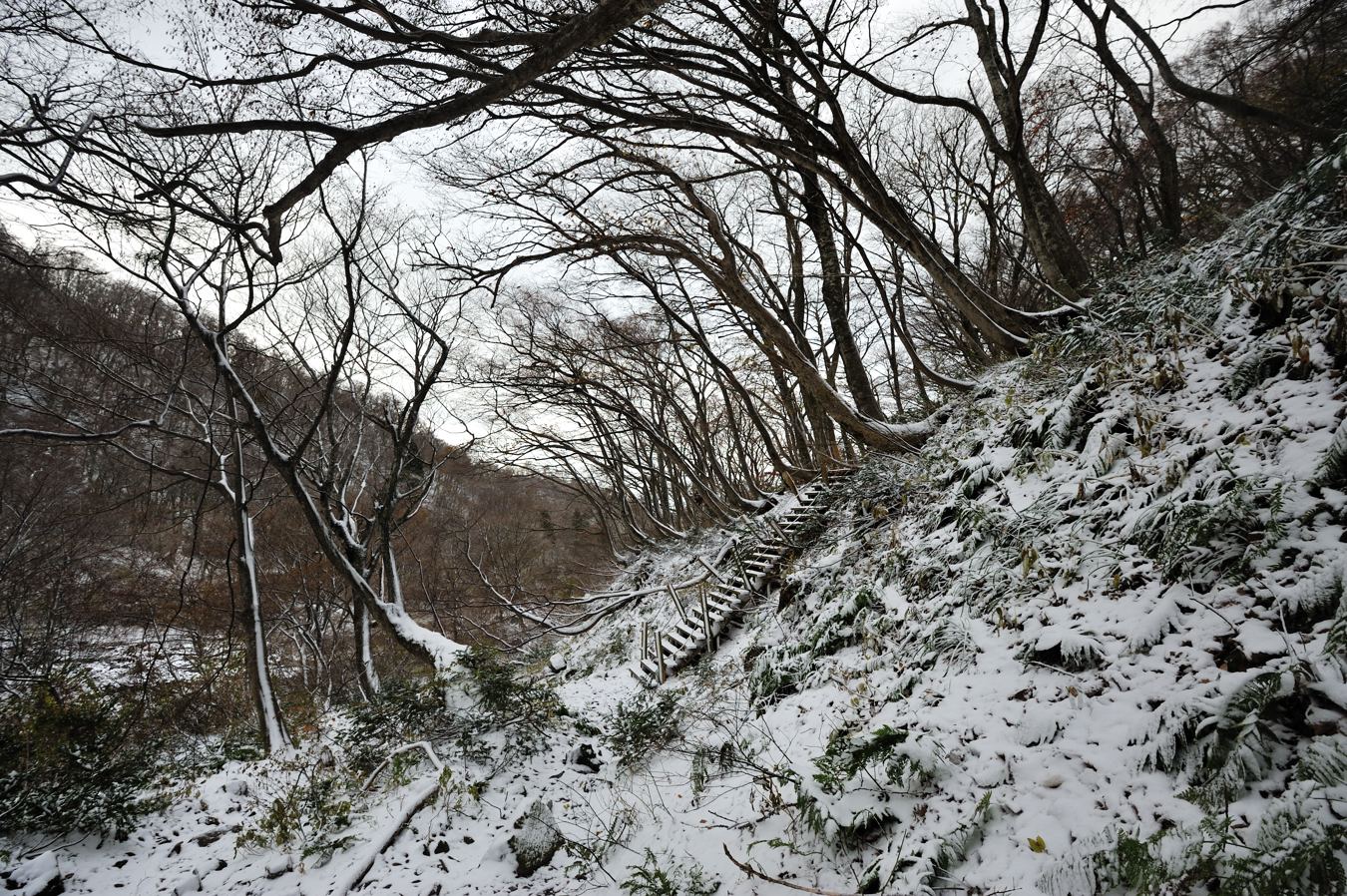 c0138991_2245778.jpg