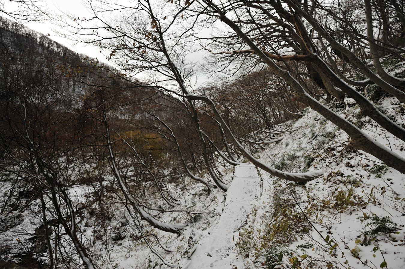 c0138991_22514864.jpg