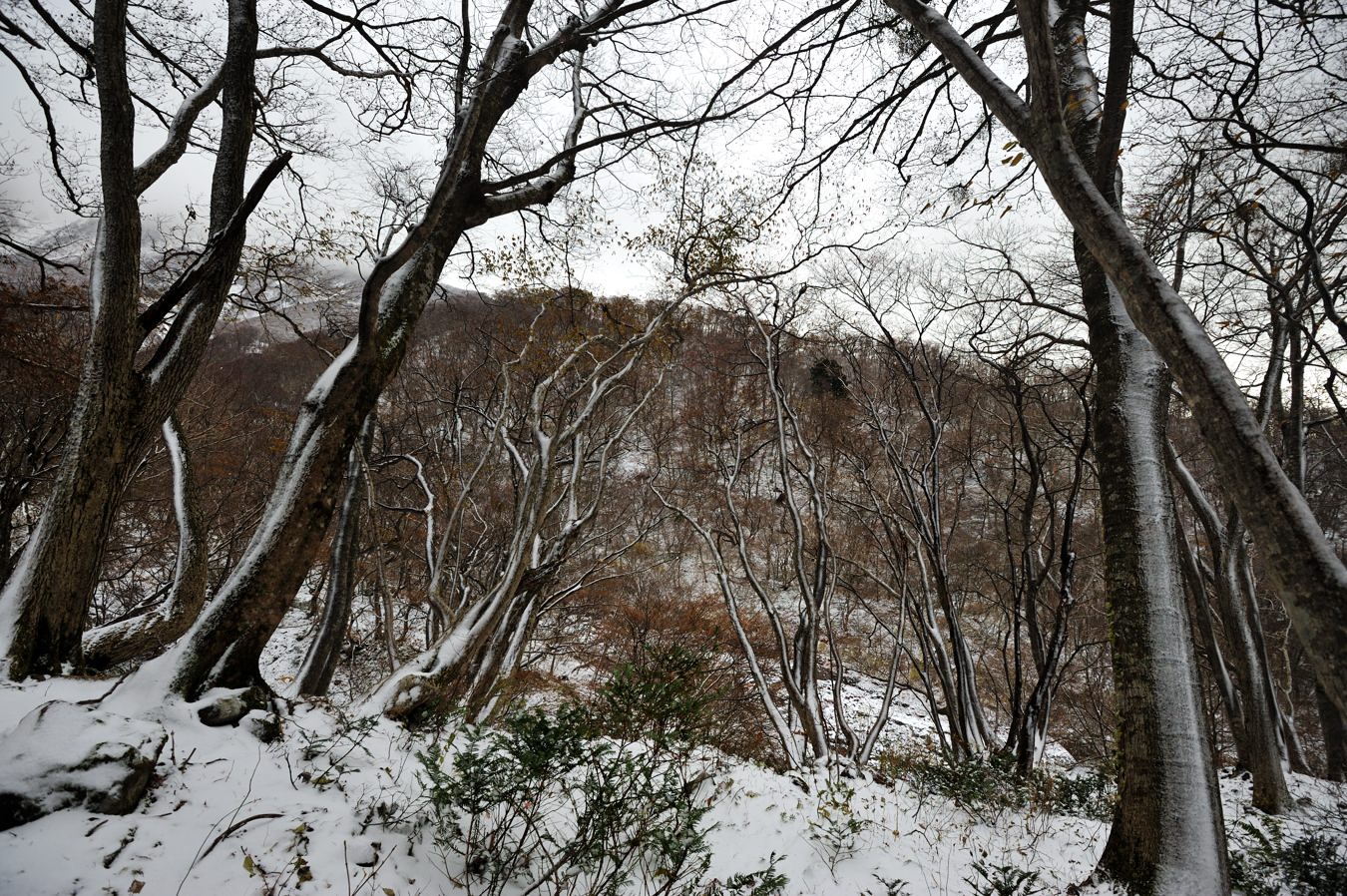 c0138991_22531291.jpg