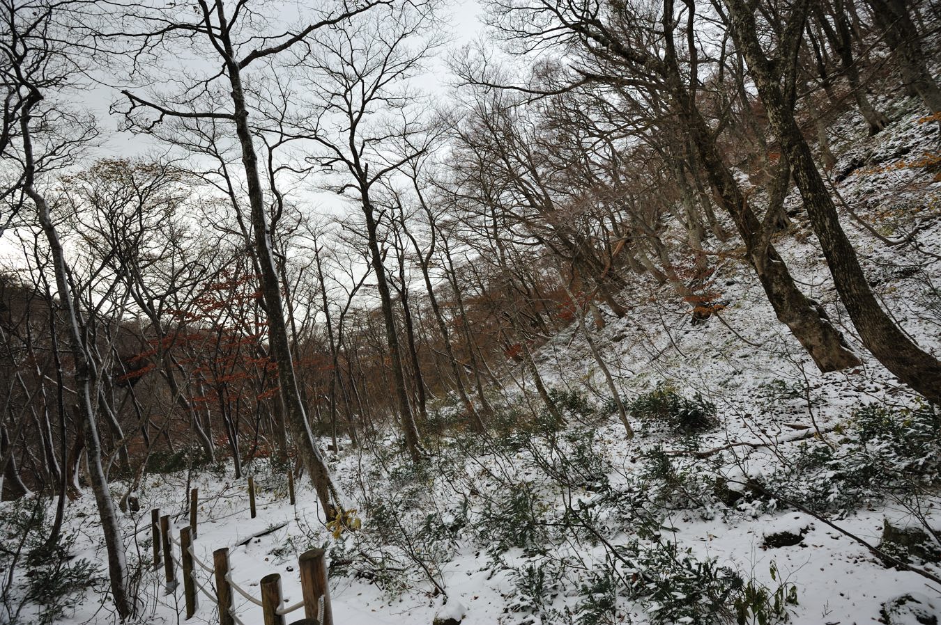 c0138991_2305775.jpg
