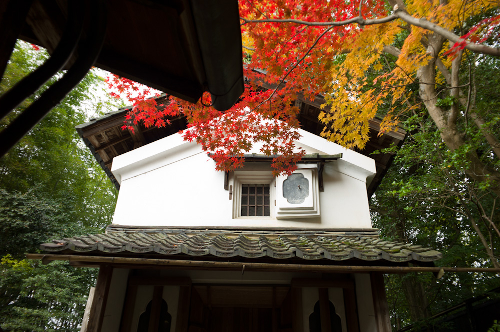 2011-11-25  京都の秋①_a0179592_22363614.jpg