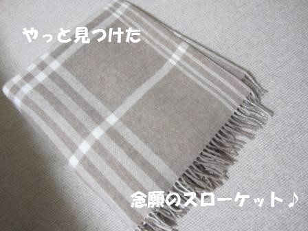 c0196992_21391799.jpg
