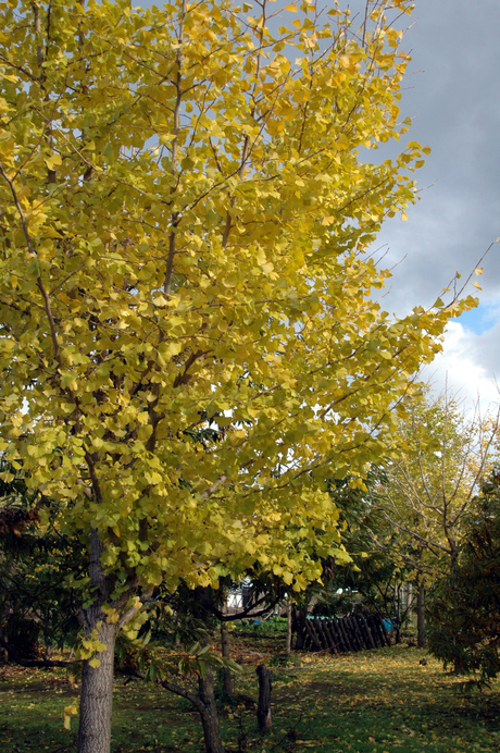 d0234293_2359246.jpg