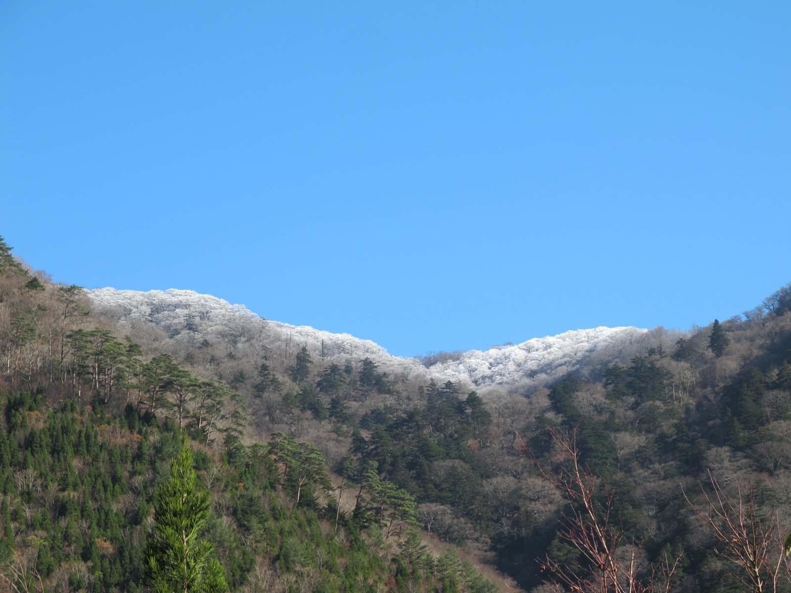 向霧立山地（九州中央山地）の天空尾根を歩く　白鳥山⇔銚子笠　2011・11・21_a0166196_17113553.jpg