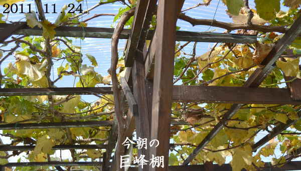 d0122497_16211520.jpg