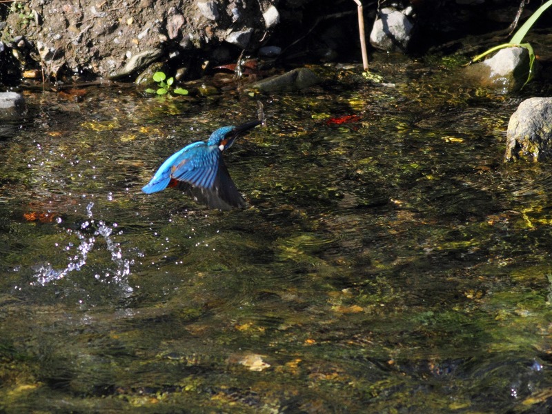 b0223198_2241720.jpg