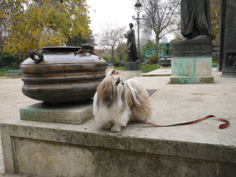 c0090198_4414129.jpg
