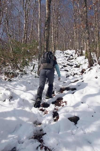 e0137200_1232351.jpg