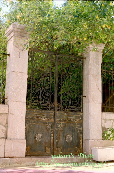 e0218001_0144914.jpg