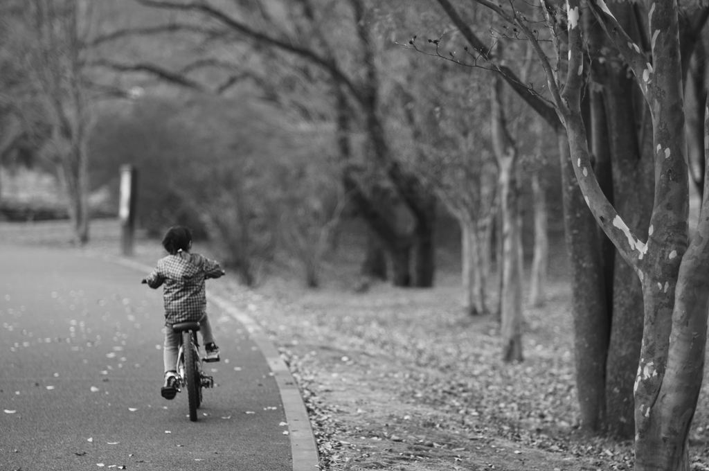 autumn road_a0189203_23401140.jpg