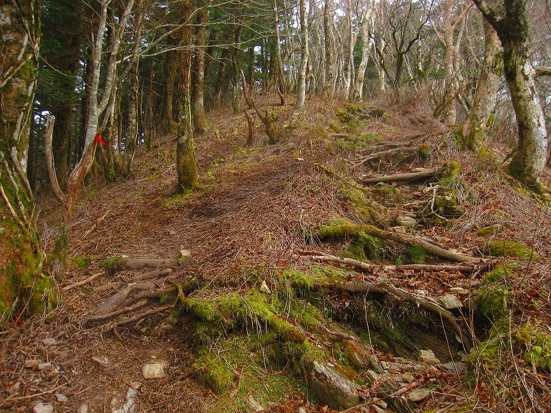 三嶺　新登山道コース　　 2011年10月の遭難コース_b0124306_17382532.jpg