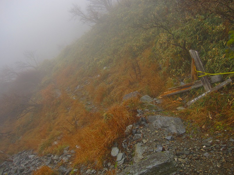 三嶺　新登山道コース　　 2011年10月の遭難コース_b0124306_2215655.jpg