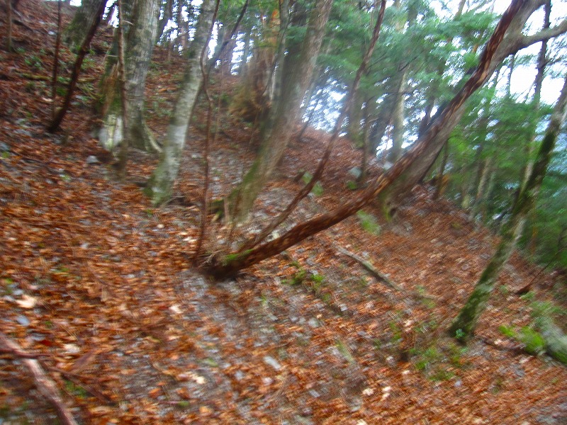 三嶺　新登山道コース　　 2011年10月の遭難コース_b0124306_2330285.jpg