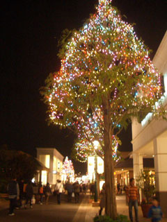 f0238106_15491490.jpg
