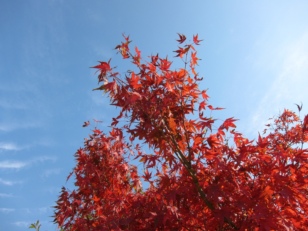 なかざと公園_f0138807_1362431.jpg