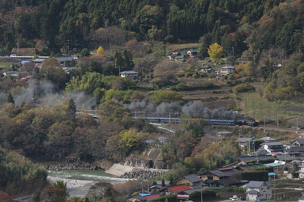 いちょう - 2011年晩秋・上越線 -_b0190710_061290.jpg