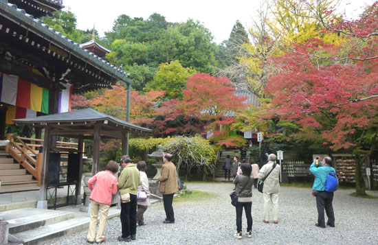今熊野観音寺_e0048413_2044648.jpg