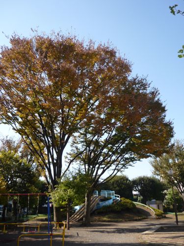 c0188814_0131882.jpg