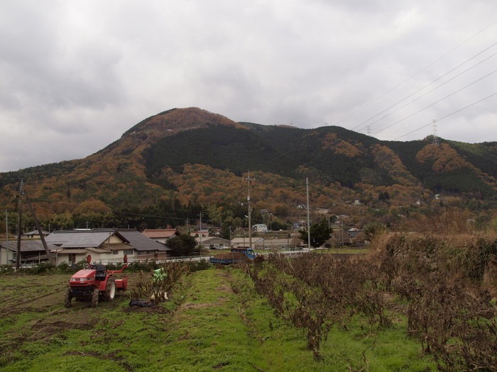 阿弥陀山_c0116915_23181555.jpg