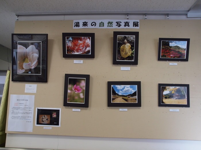 ロビー展_c0116915_2326846.jpg