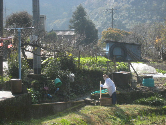 d0070316_11535866.jpg