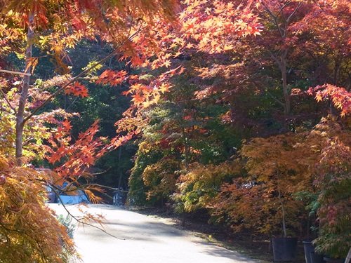 c0223117_98693.jpg