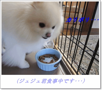 b0167519_9453329.gif