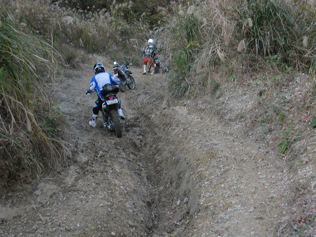 c0223419_1752574.jpg