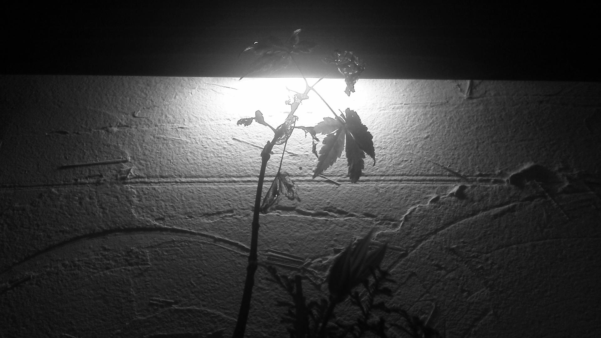 d0141922_18121238.jpg