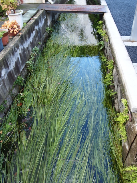 b0177323_1718513.jpg