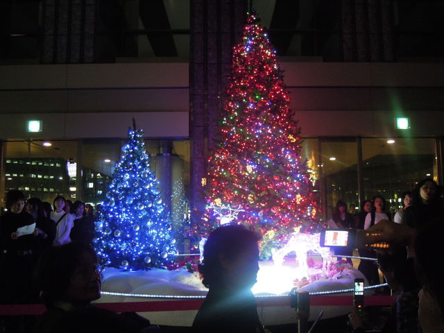不協和音定演、クリスマスツリー点灯式_f0115027_15105310.jpg