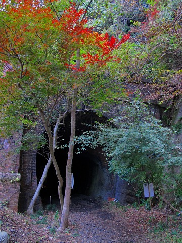 愛岐トンネル_c0077531_22322271.jpg