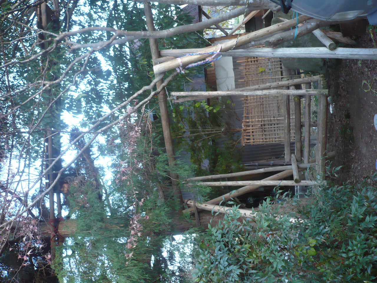 a0206732_19443514.jpg